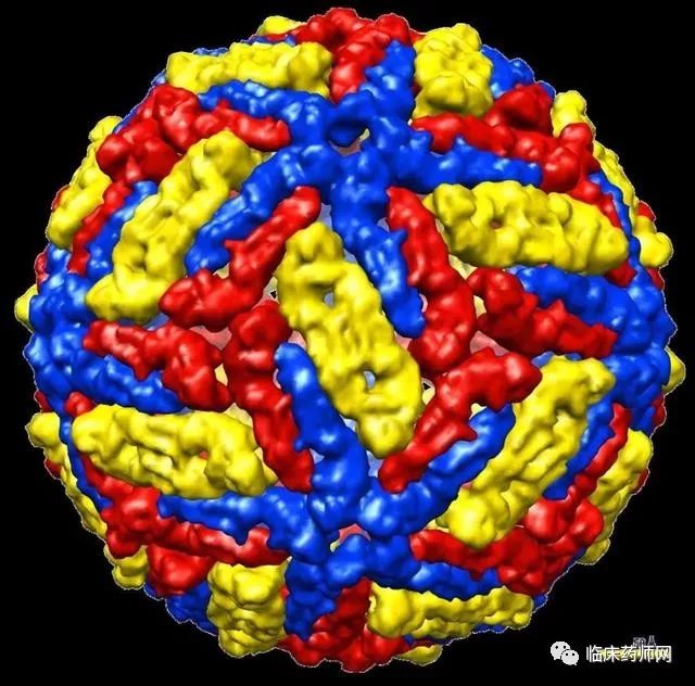 健康教育关注人类历史上最骇人的十大病毒