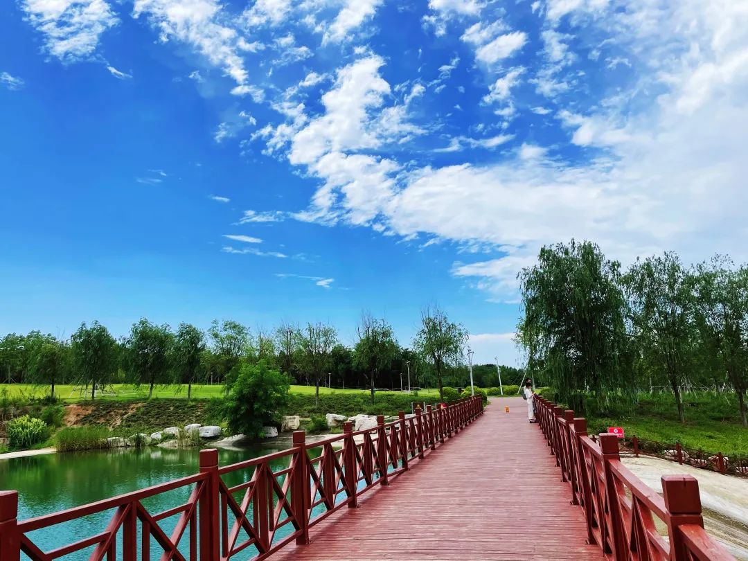 花山公园位于淄博高新区东部,建设面积约141