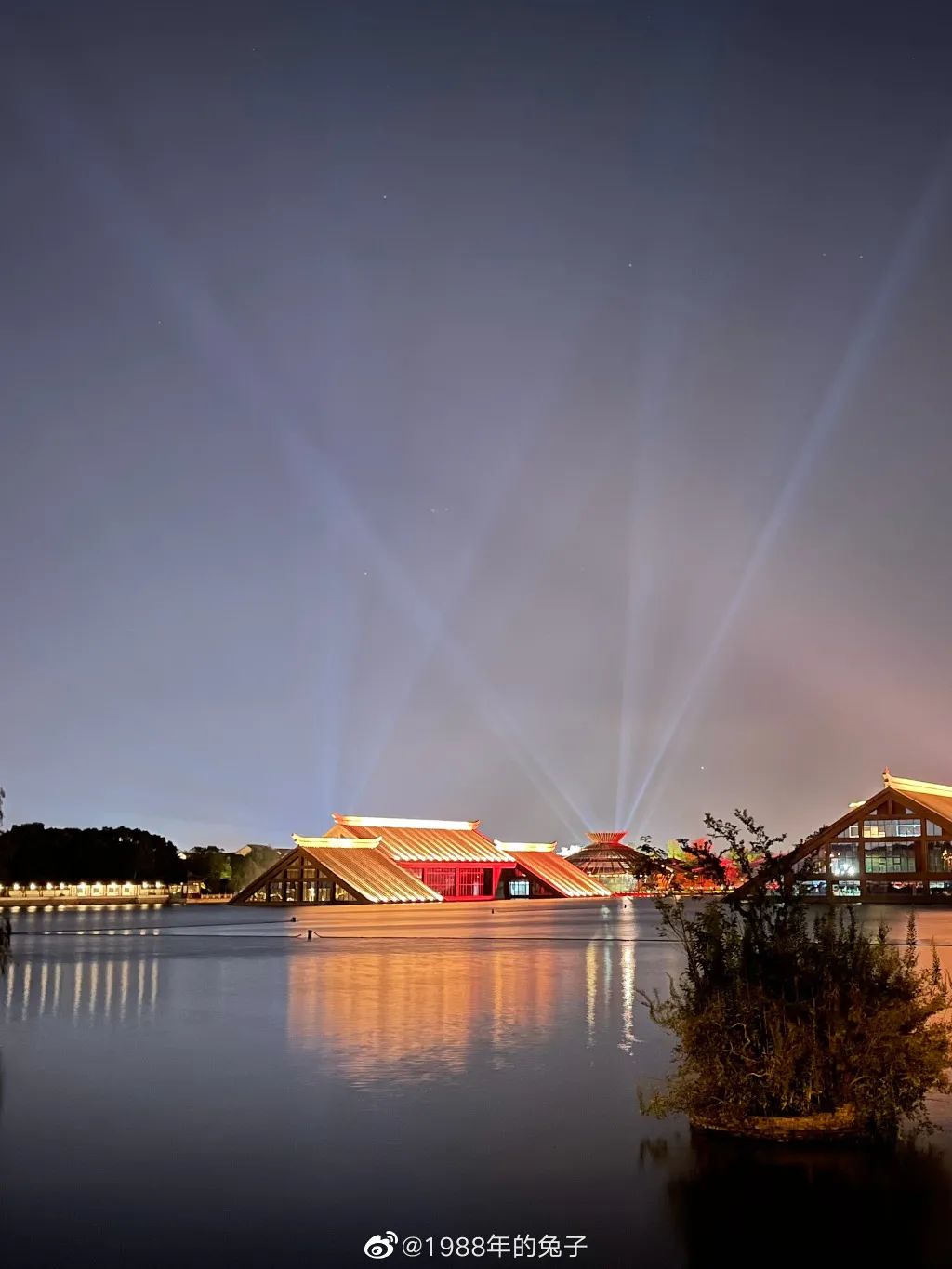 广富林的夜景美爆了