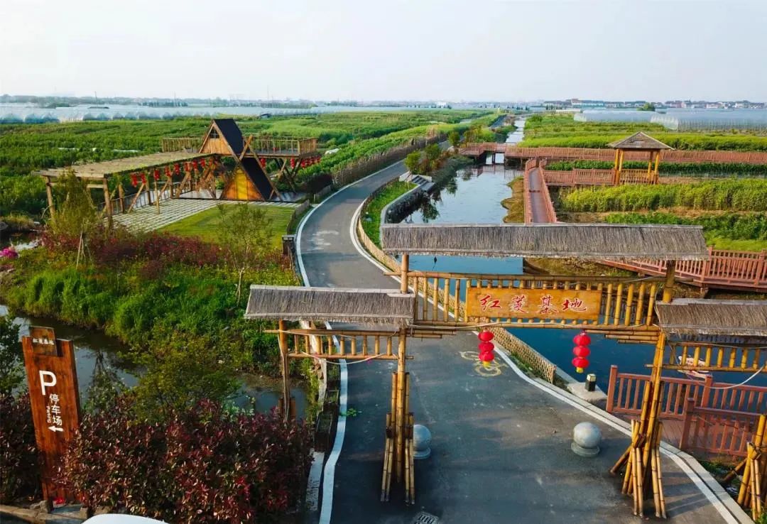 国庆假期游慈溪这些特色农业休闲观光点和古村走起来