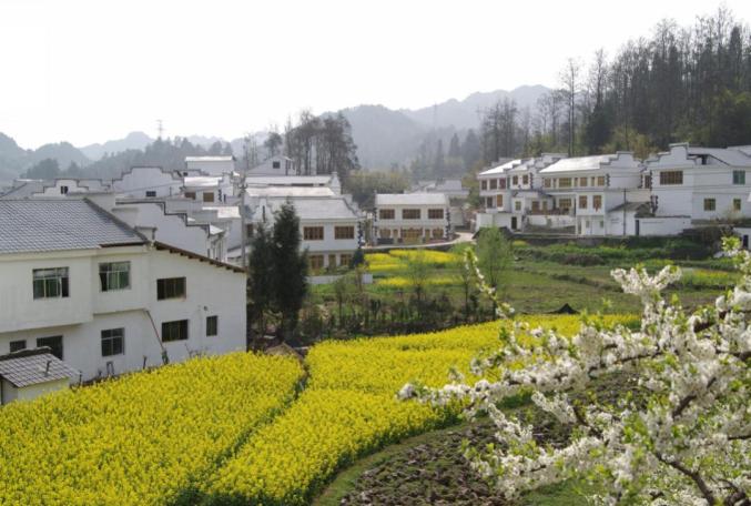 乡游黔中观山湖区三屯村│青山秀水春光美