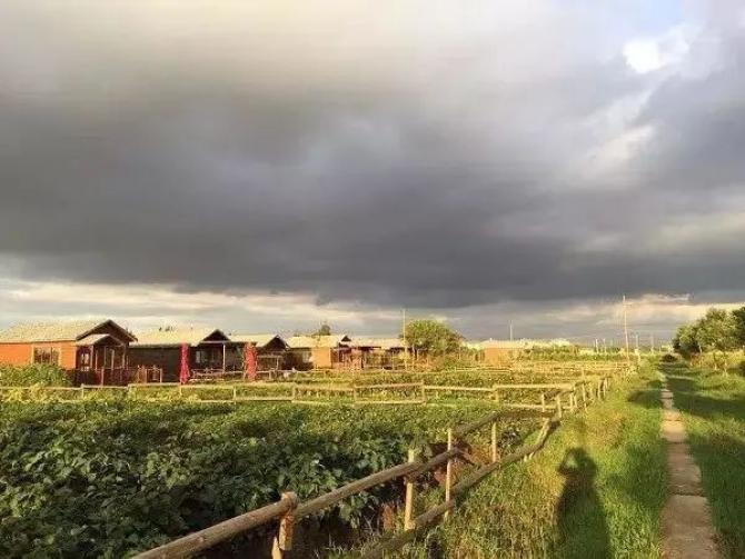 乐田市民家庭农场德国海归博士送给女儿的礼物