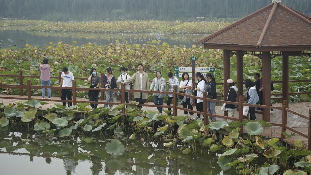 雄州镇对接清华大学美术学院举办古淀梨湾乡村振兴示范区吉祥物征集