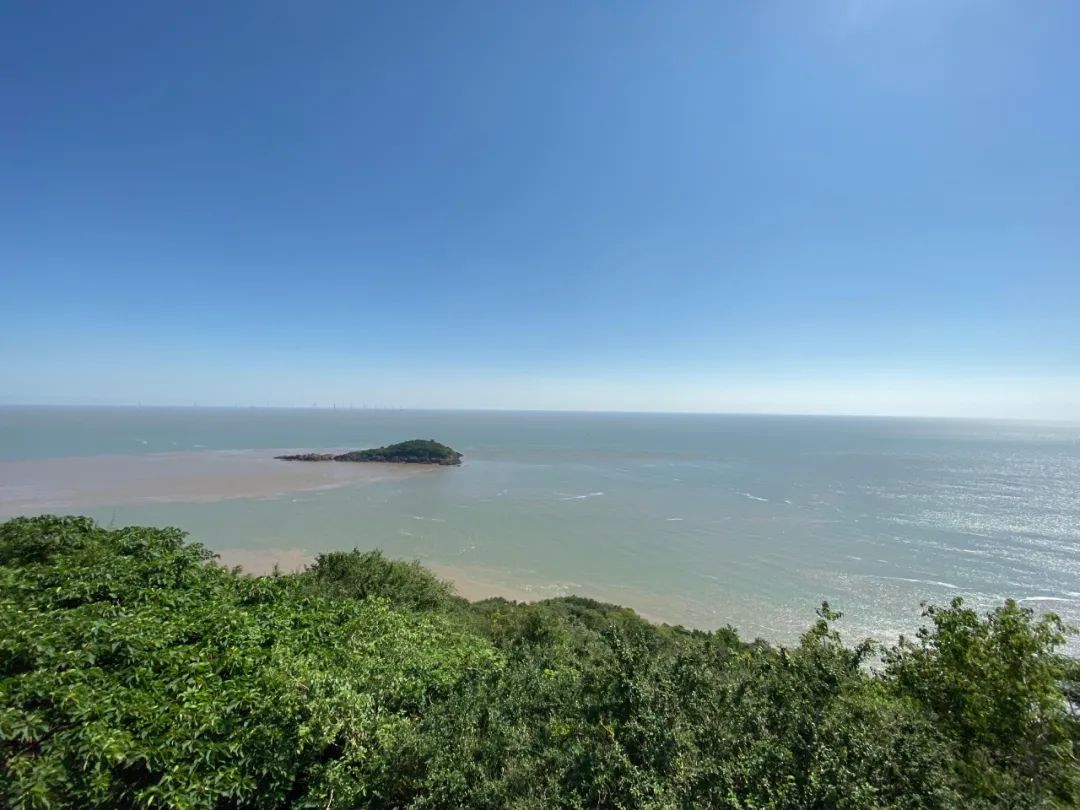 一岛一世界探秘大金山岛的故事