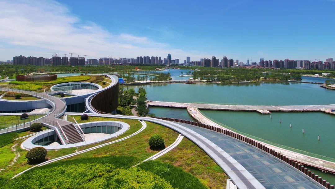 芭蕾和九棵树绝配!在粉色花海翩翩起舞超仙!国庆,发现与众不同的奉贤