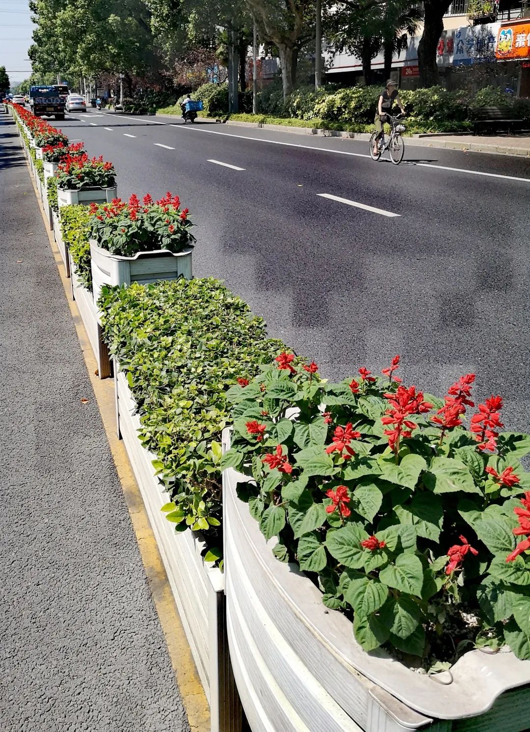 欢度国庆1270面国旗28万盆鲜花扮靓宝山