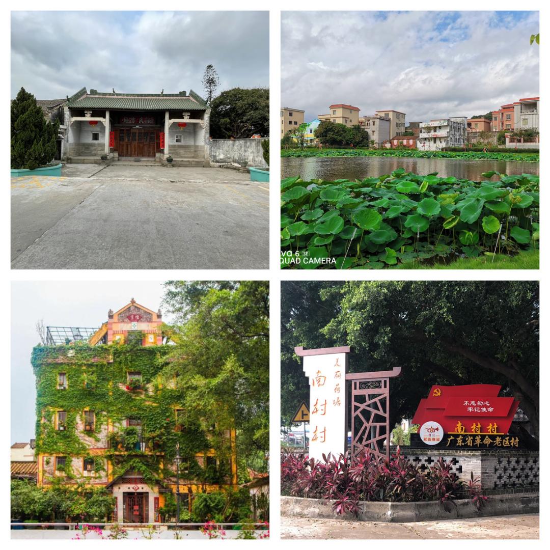 迈向新征程镇街谈发展荷塘镇贯彻新发展理念0202开创高质量发展新