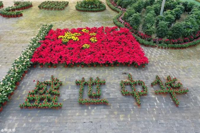 沧州任丘:花卉景观庆国庆