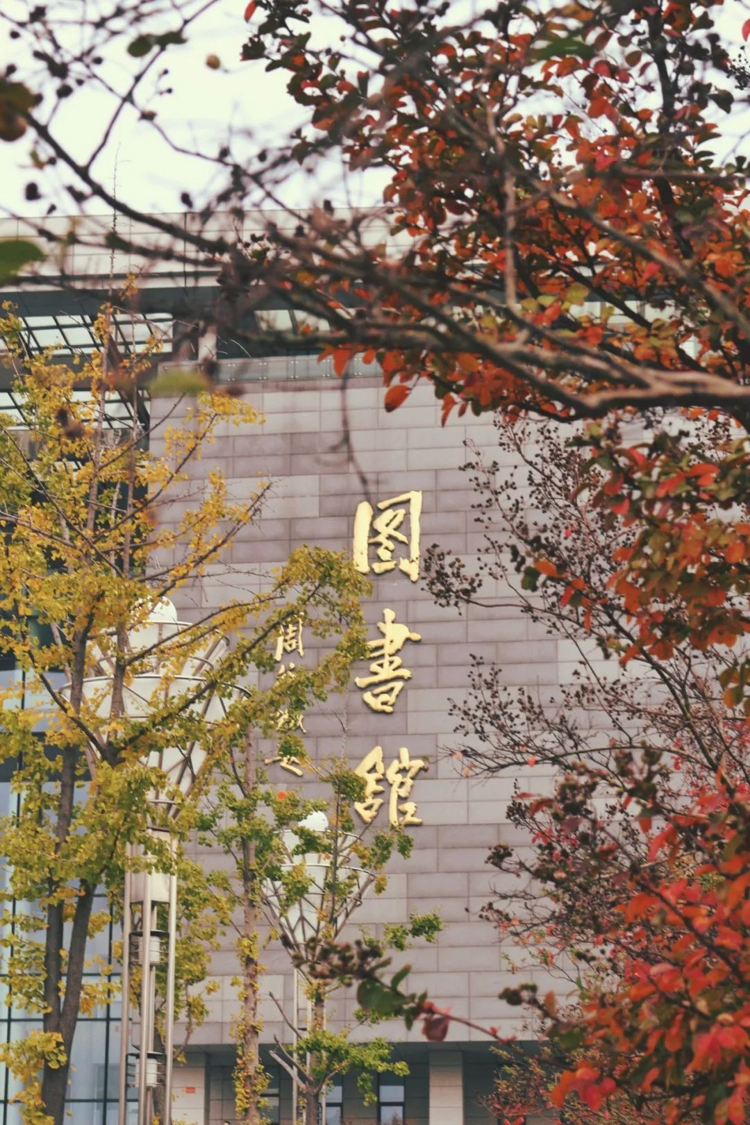 在这里你会发现,如此多的图书都没看过.