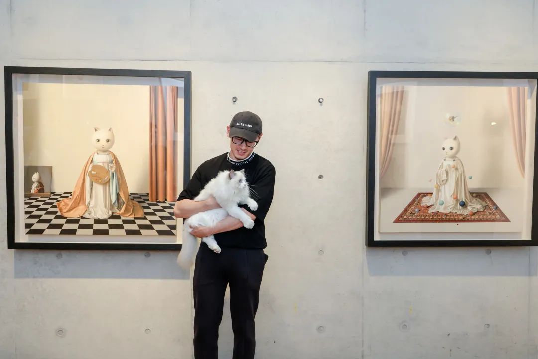 张凯画了15年猫每一次都是温暖的抱抱艺术栗子