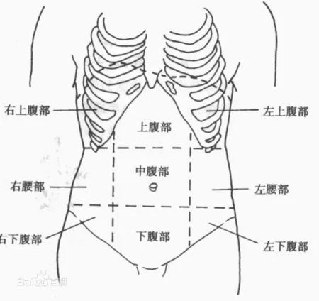 肚脐右边是什么部位图片