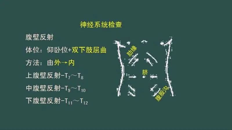 从外到内,从低到高轻轻地划腹壁