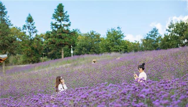 體項目△建始縣花坪鎮易家荒村△咸豐縣曲江鎮灣田村△利川魚米之鄉