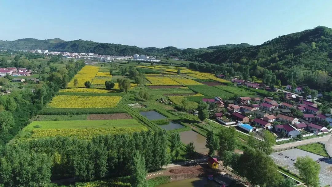 祖国颂国庆长假乡村旅游备受青睐华亭市上关镇半川村乡村旅游迎来升温