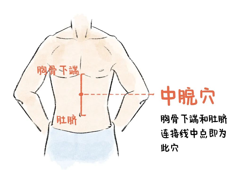 当脐中上4寸地方胸骨下端和肚脐连接线中点前正中线上中脘穴位于上
