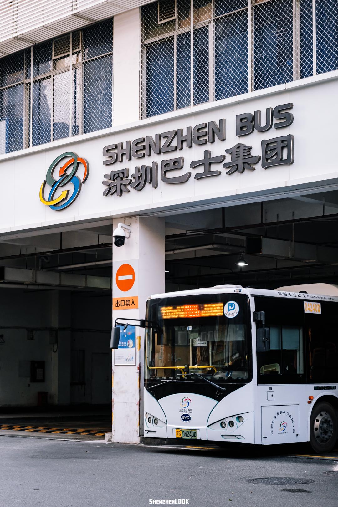 凌晨4点的公交车藏着真实的深圳
