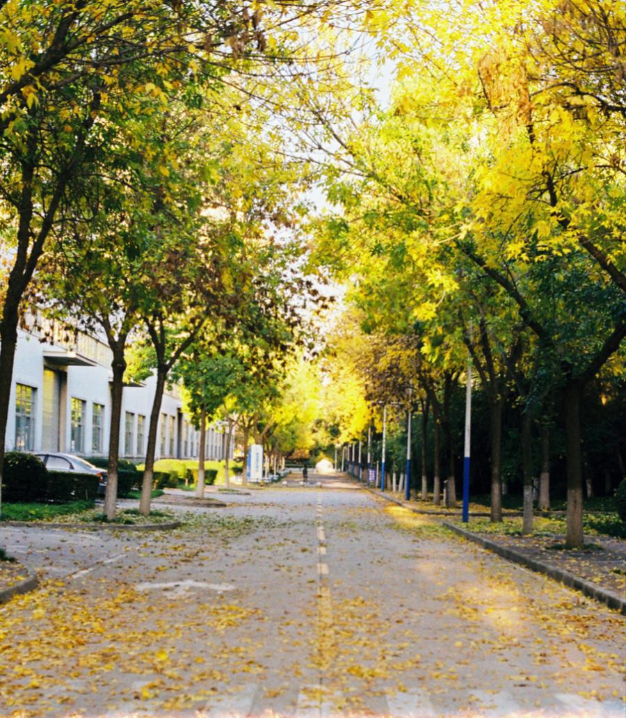 一入秋长大就惊艳了岁月