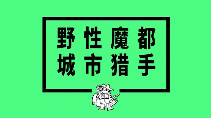 野性魔都④ | 争斗并非目的，正如流浪也不是我们的选择