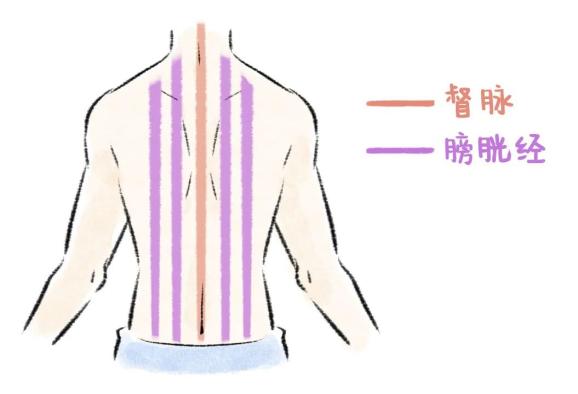这五条线都属于阳经如果肩背长时间暴露在外寒气势必会从肩背进入所以