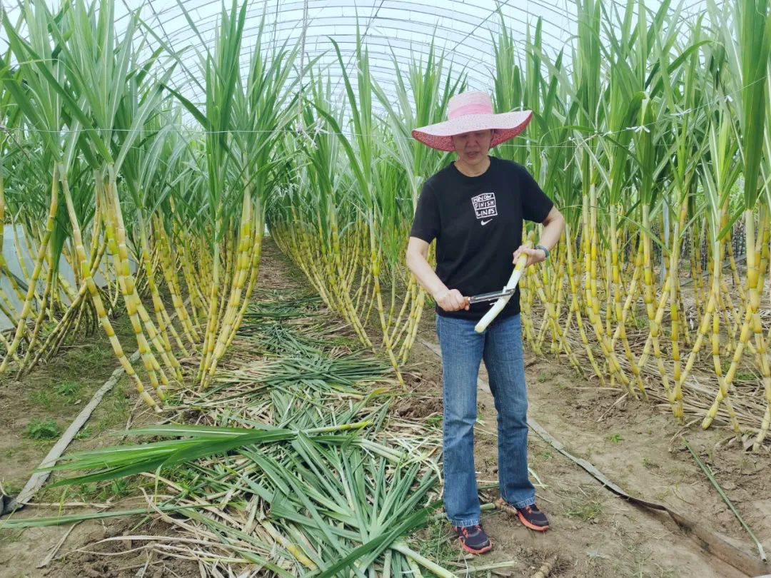 武清聚富荣
