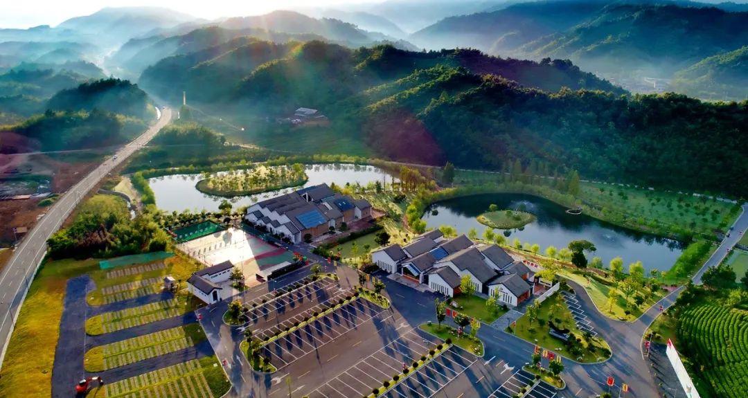 业的全域化,品质化,多元化,国际化进程,乡村旅游,高端民宿,生态康养