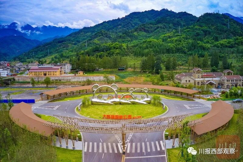 雅安龙苍沟熊猫翠竹长廊将升级全国美丽乡村路
