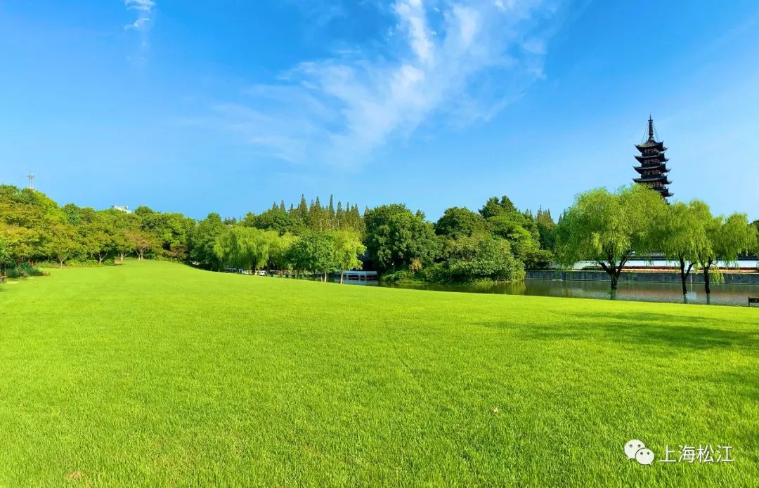 接待游客7994万人次国庆长假松江这些地方最受欢迎