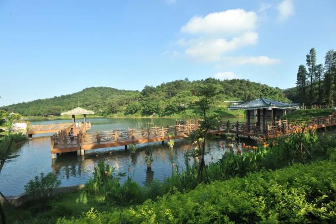 重阳登高!圭峰山发布通知