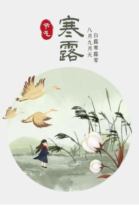 今日寒露 | 秋桐故叶下 寒露新雁飞