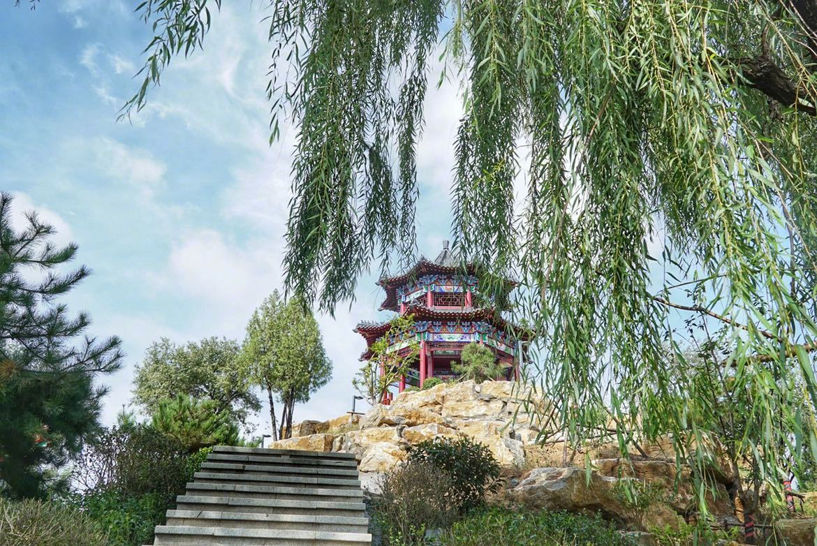 探营衡水旅发枣强大营镇裘祖文化园全力打造4a文化休闲公园