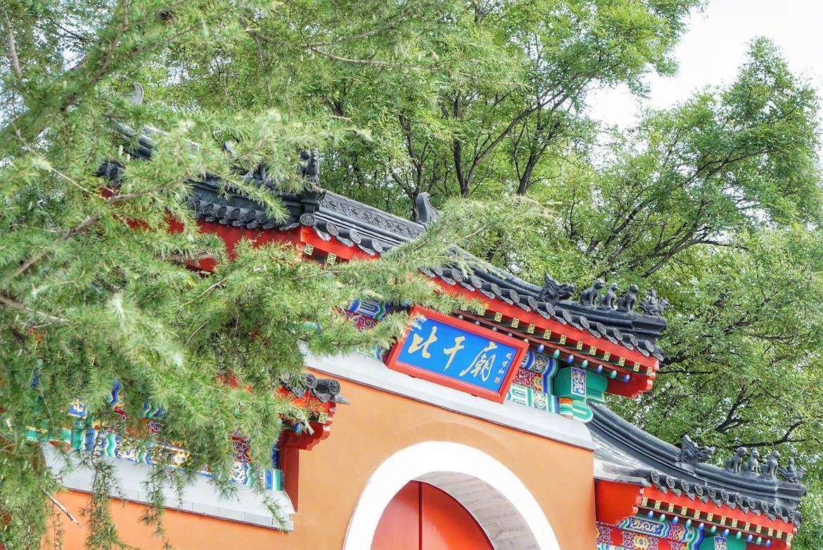 探营衡水旅发枣强大营镇裘祖文化园全力打造4a文化休闲公园