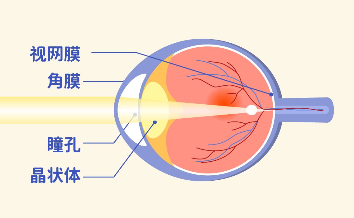 千防万防 此处不防害处大 媒体 澎湃新闻 The Paper