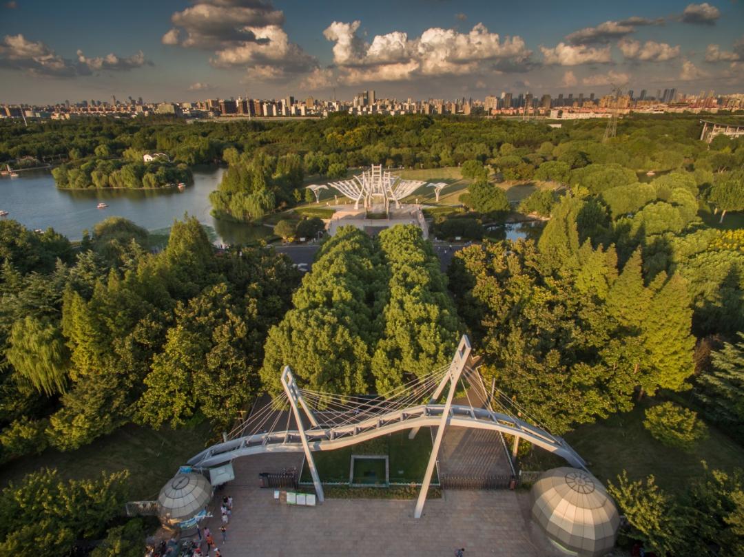 環城生態公園④ | 上海首座以體育命名的公園是?