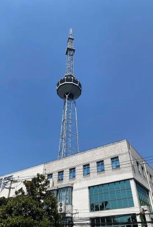 除了你每天路过的奉贤小东方明珠上海的这些电视塔也承载了许多市民的