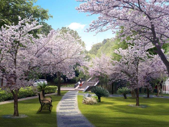 效果图樱花园所用的樱花品种为高杆吉野樱,樱花整体开花季节为每年3