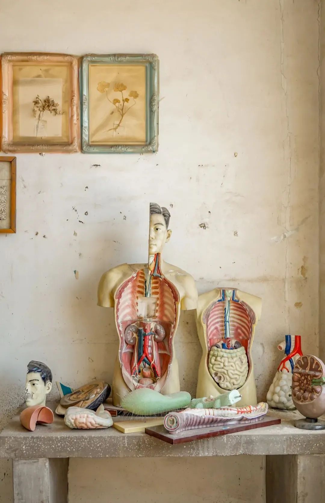 27岁东北大妞拍下废弃舞厅医院秘照这里也曾是有温度的地方