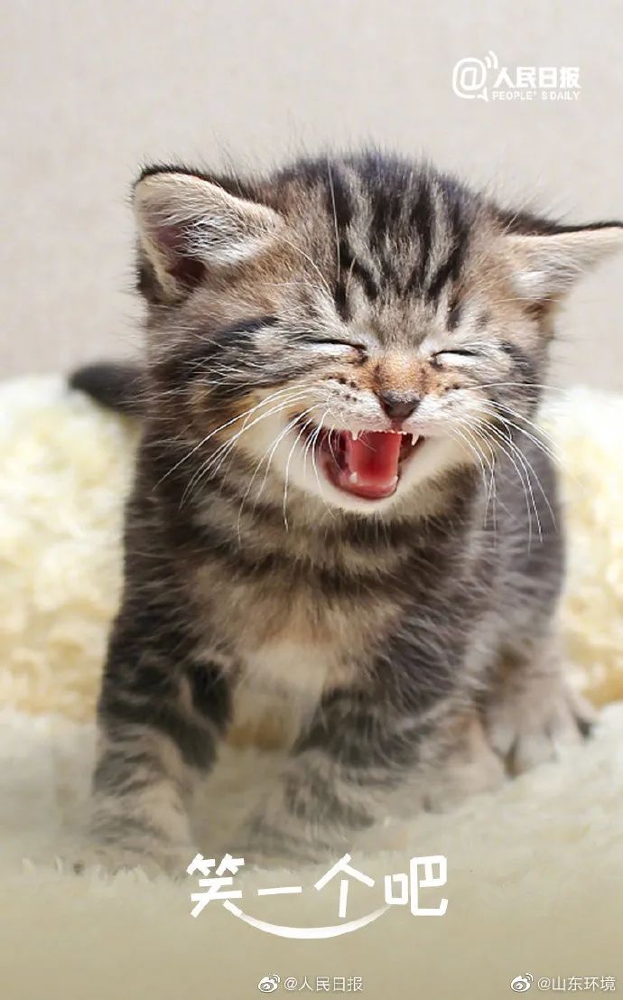 世界动物日|像它们一样,对世界笑一个吧