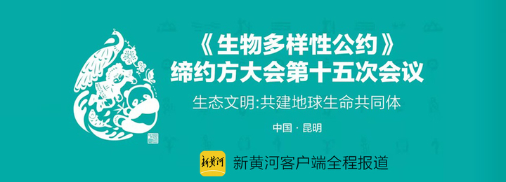 生物多样性公约缔约方大会第十五次会议11日在昆明开幕新黄河记者将