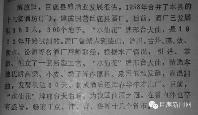 巨鹿老水仙花一醉半个世纪