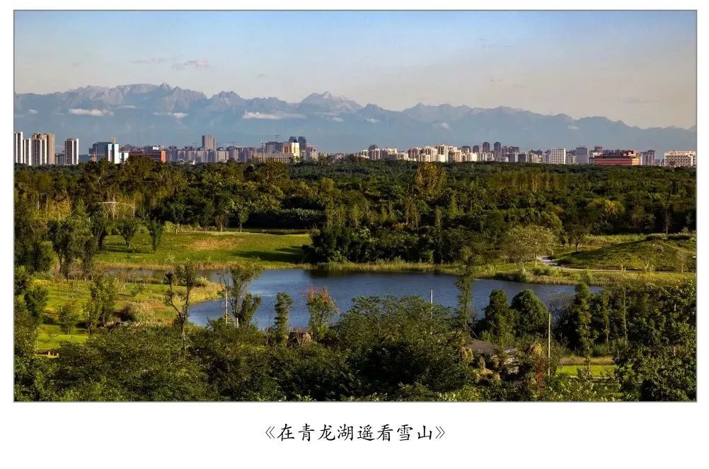 两年蝶变十陵街道华丽转身日新月异