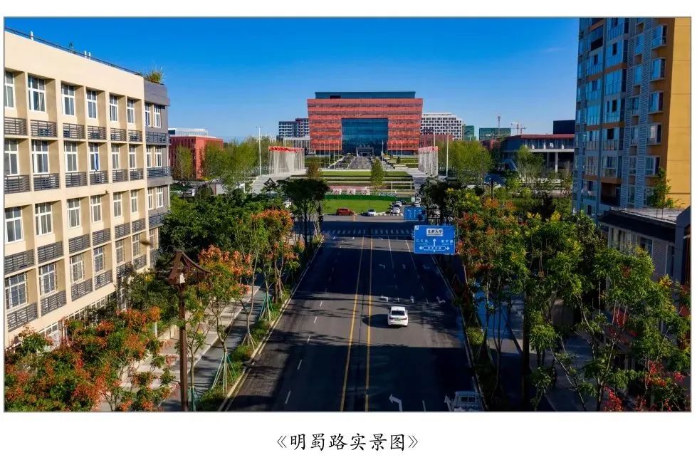 规范化,专业化,国际化的营商环境,并集聚配套了成都大学等优质教育