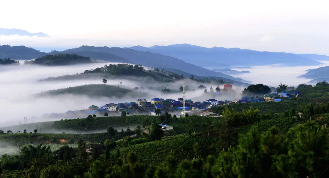 勐海县景区图片