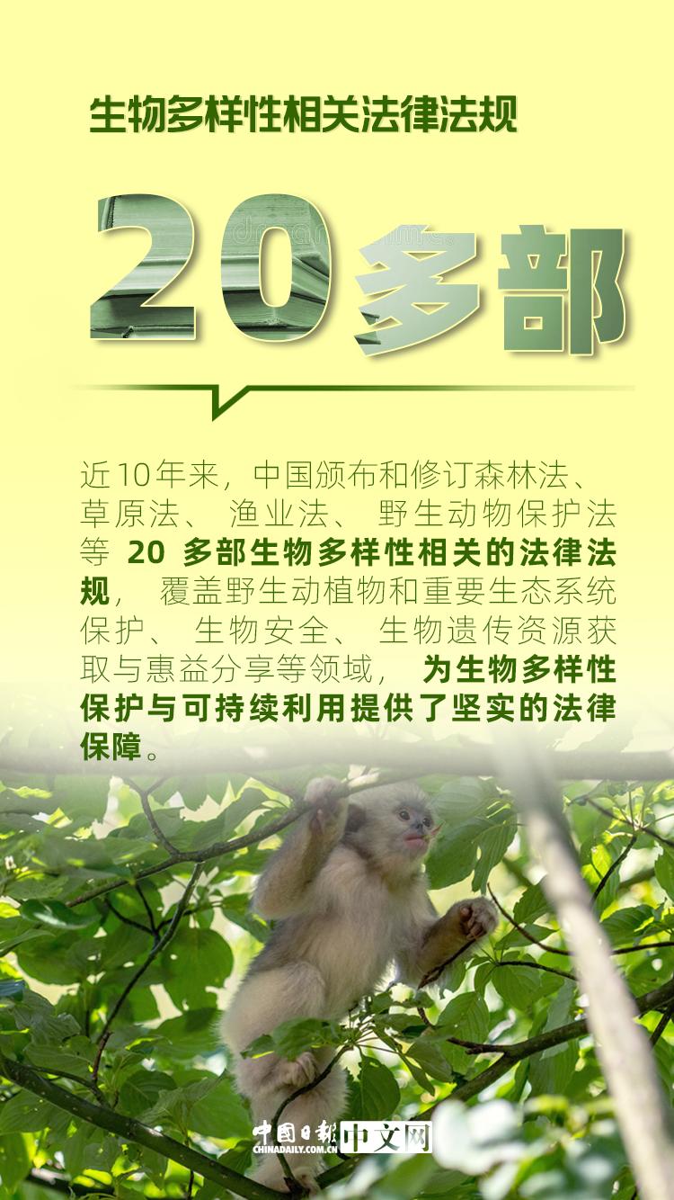 保护生物多样性标语图片