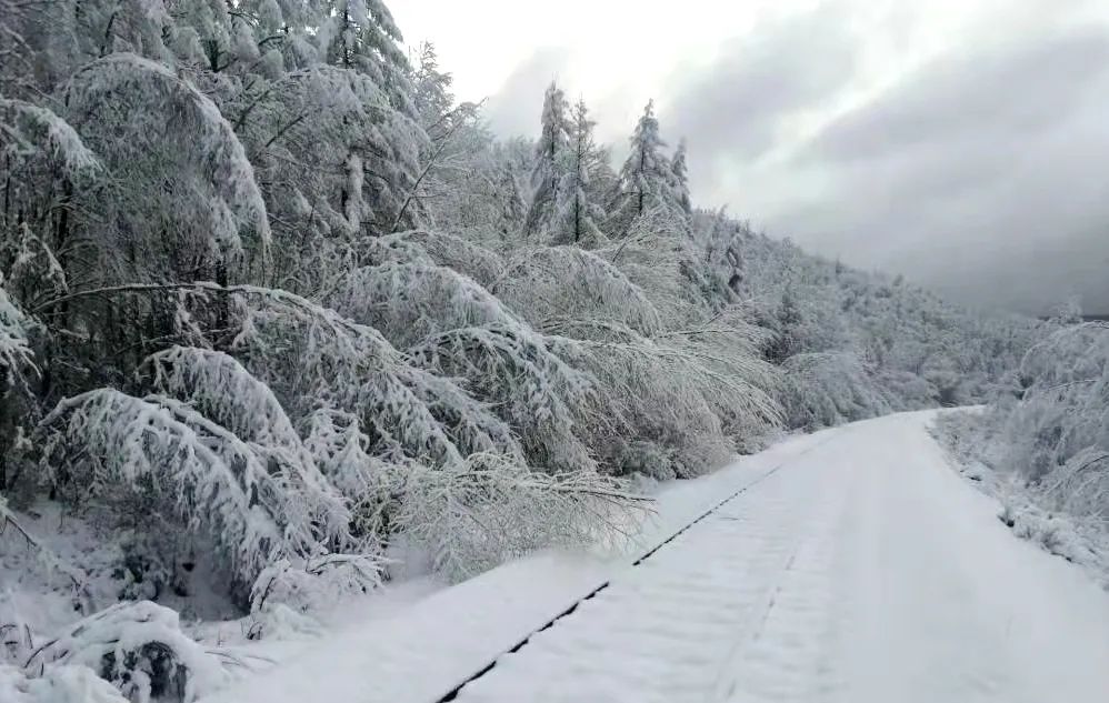 绵阳吴家后山下雪图片