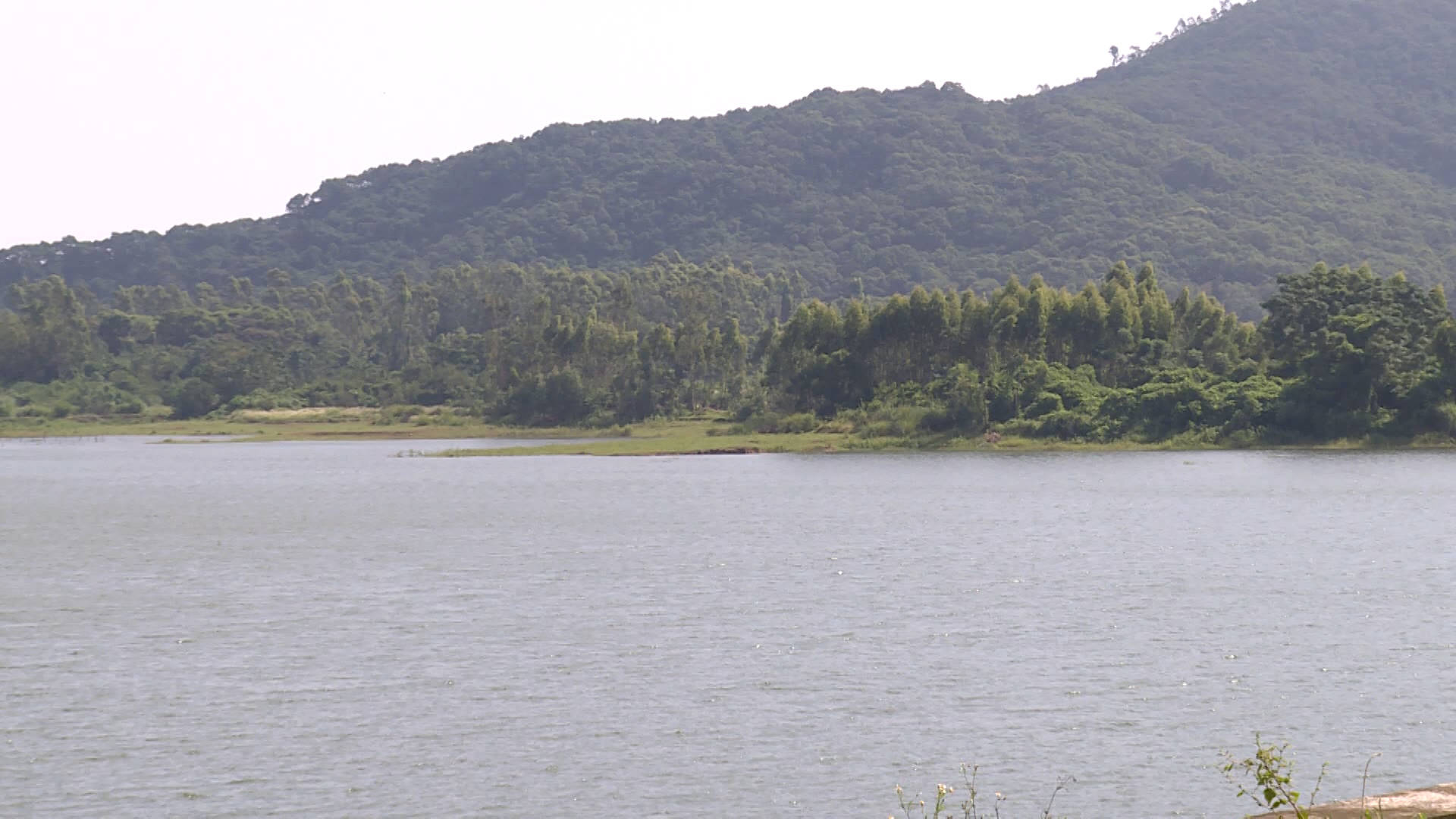 台风狮子山给海陵岛山塘水库增加百万立方水