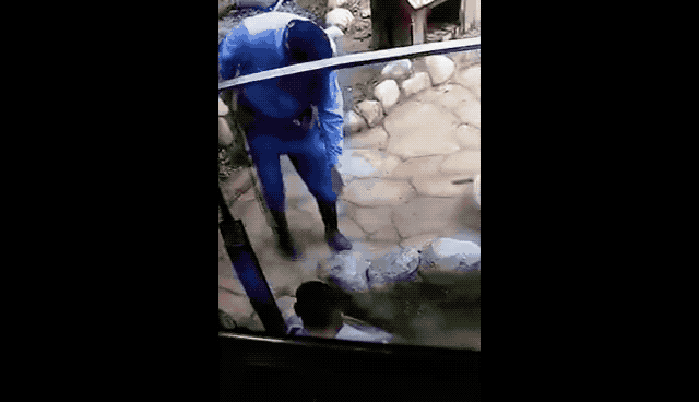 动物园小水獭收到感谢锦旗：帮游客捡回掉入水中的手机