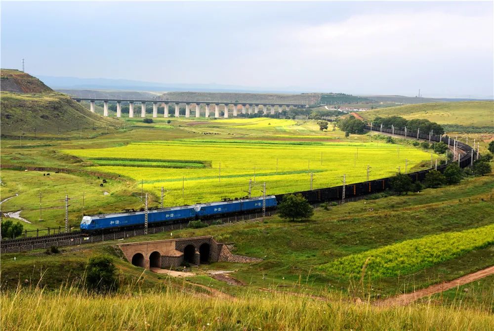 这列火车到底多少节?