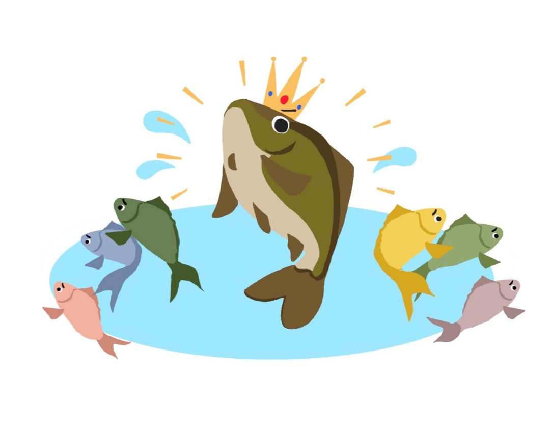 亚洲鲤鱼占据了五大湖(图片来源:作者提供)"请神容易送神难",引入亚洲