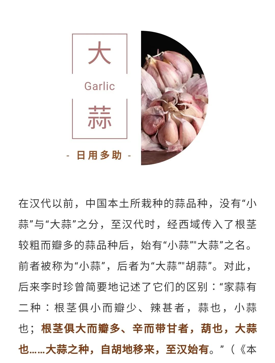 多吃大蒜也能养生是真的吗