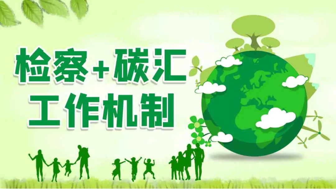 该院办理了全国首个以引导被告人购买碳汇方式替代性修复受损生态环境